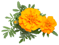 img_4.png