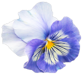 img_5.png